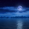 Cycle lune