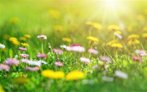 Printemps